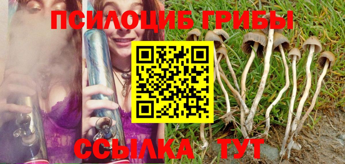 Псилоцибиновые грибы ЛСД Ивантеевка