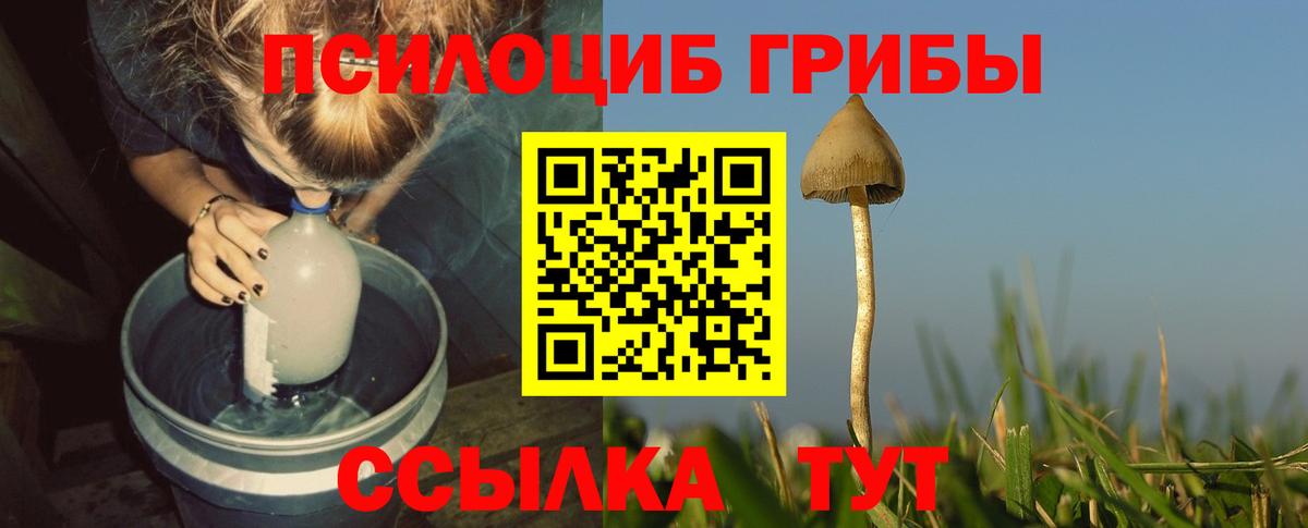 Ивантеевка  Псилоцибиновые грибы мицелий  Вход с VPN 